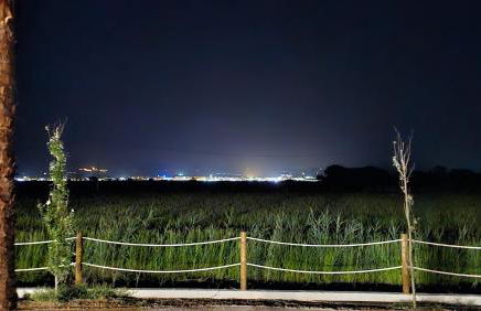 Masos Bruguera - Finca Llambrich - Foto 40