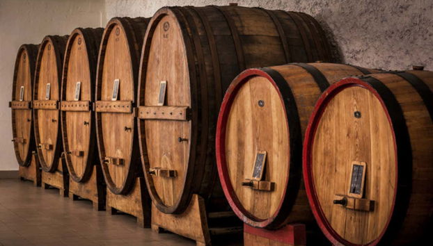 Degustazione di vino all'aria aperta - Foto 4