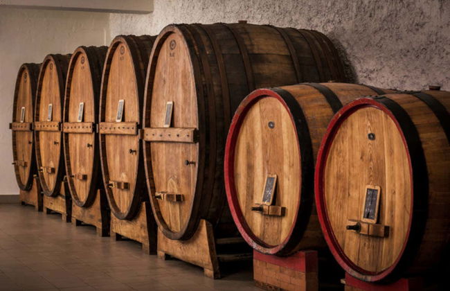 Degustazione di vino all'aria aperta - Foto 4