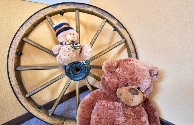 1 bedroom Apartment in Stárkov with swimming pool and garden - Photo 14