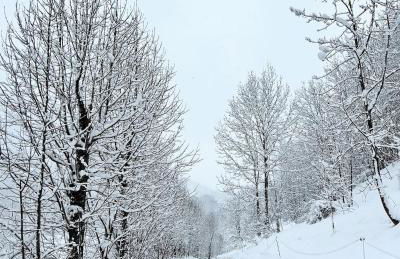 Ochalet Bagergue - Foto 46