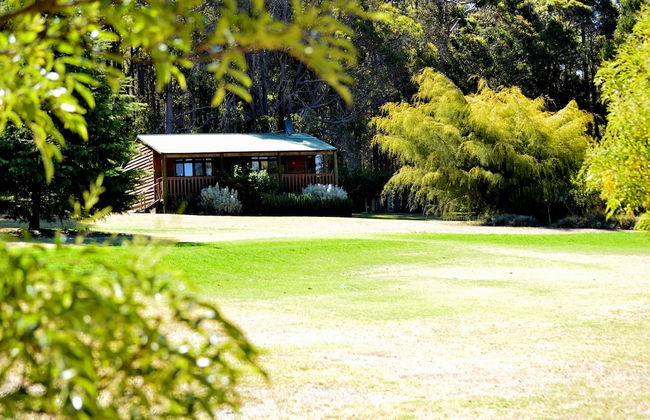 Diamond Forest Farm Stay - Foto 47