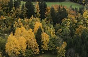 CRÊTES DU VERCORS VUE MAGNIFIQUE - Foto 16