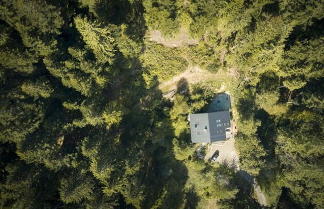 Schweizerhaus Alpirsbach - Foto 57