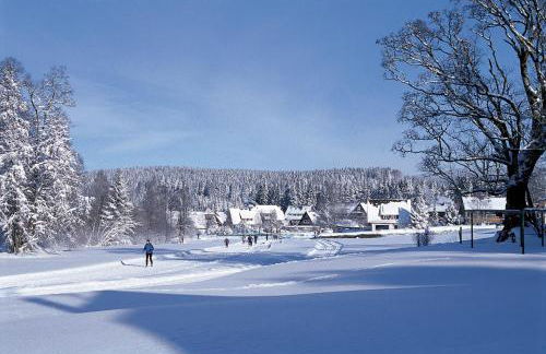 Hus im Schwefelmättle, Hinterzarten - Foto 15