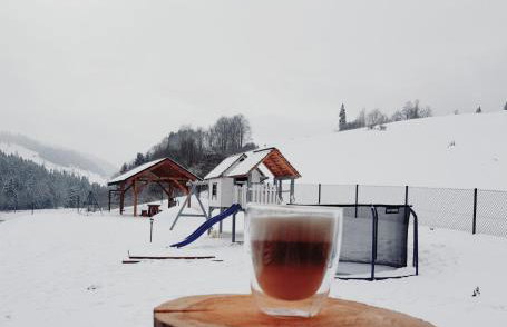 Domki Cztery Pory Roku - Foto 6