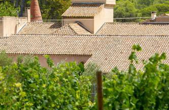 Château Saint Martin de La Garrigue - Foto 25