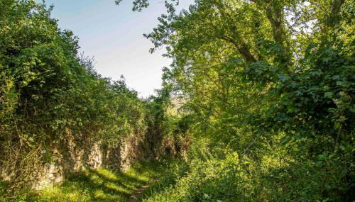 Casa Rural El Huerto de la Fragua - Foto 3