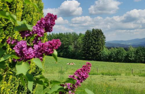 Altes Forsthaus Bodenmais - Foto 30