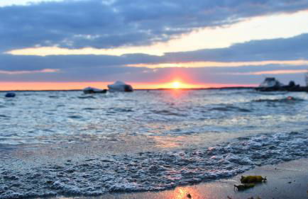 Elegantes & modernes Apartment NeLi mit Terrasse, 100m zum Hafen Röbel Müritz - Photo 1
