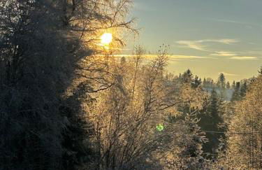 Chalet avec jacuzzi privé, vue sur les Vosges - Foto 36
