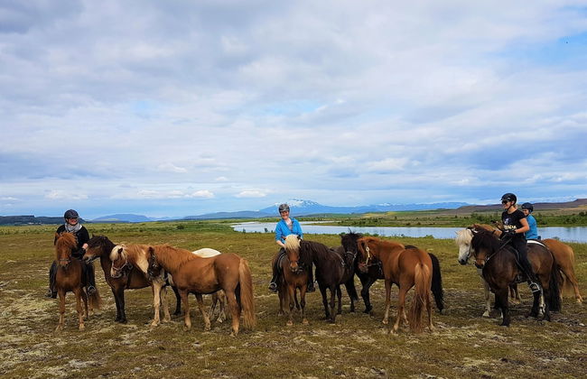 Vorsabær 2 Holiday Home - Foto 15