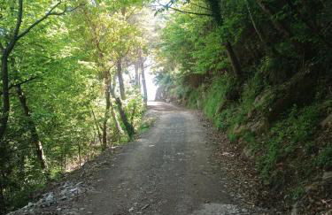 Casa Artigena - Foto 32