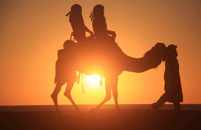 Paseo en camello por el desierto de Los Cabos - Foto 8