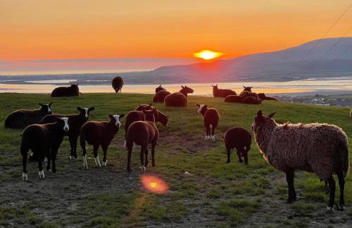 The Highlander - Foto 13