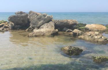 Il giardino degli aranci - Foto 13