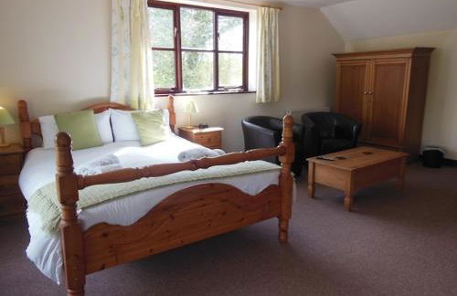 Pwllgwilym B & B - Foto 41