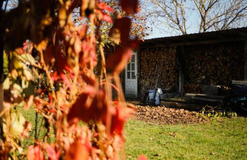 Sołtysówka - Foto 24