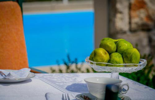 Apartments Ivanka - Photo 20