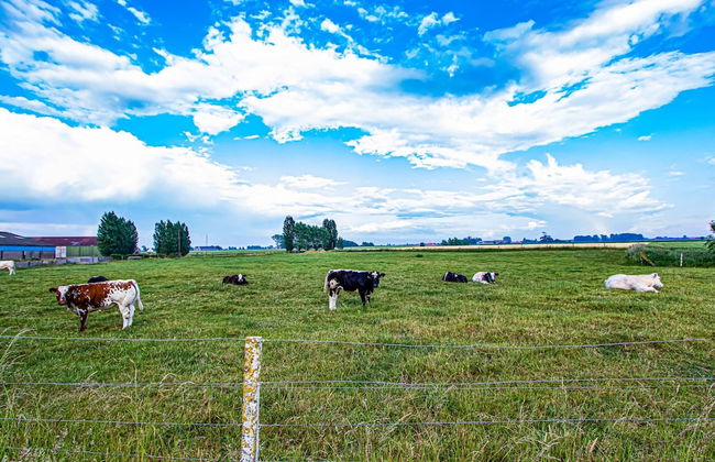 Unique Holiday Home in Haringe - Foto 34