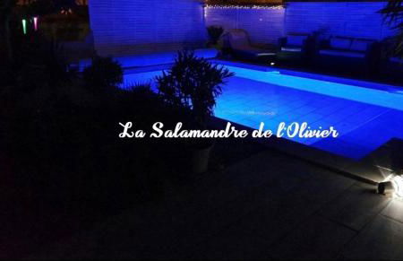 La Salamandre de l Olivier - le Palmier - Foto 25