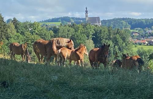 Haus Vogl - Fewo mit priv. Sauna und traumhaften Salzwasser-Pool - Foto 5