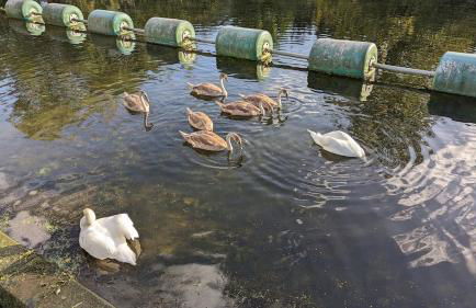 Billing Aquadrome, Horizon 3 Bedrooms, BLP 17A - Photo 31