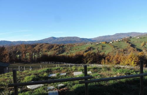 Società Agricola Cacigolara - Photo 130