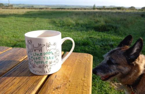 Luxury Shepherd Hut in the Peak District - Foto 49