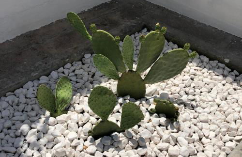 Salento Sunset House - Foto 45