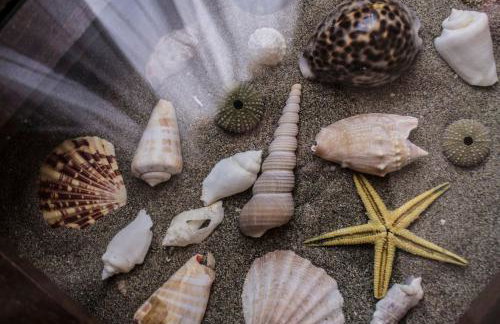 Seaview Symphony Appartments-Filia - Foto 21