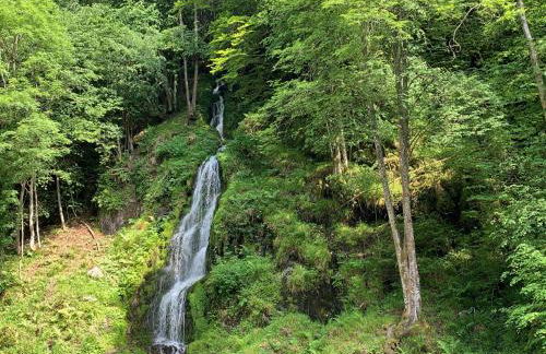 Apartament reformat i acollidor a Vielha, ben ubicat - Foto 28