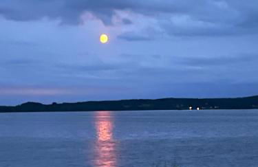 Fewo am Plöner See - Foto 25