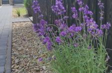 Kotlina Kłodzka Pod Brzozami - Foto 37