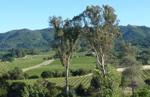 Casa Molino - A private escape with Vineyard views - Foto 7