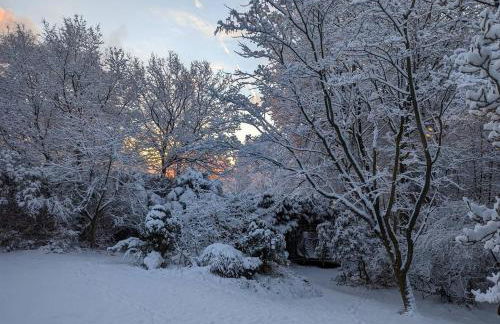 Acorn Lodge Luxury Retreat In a Stunning Oasis With Hot Tub - Pass the Keys - Foto 72