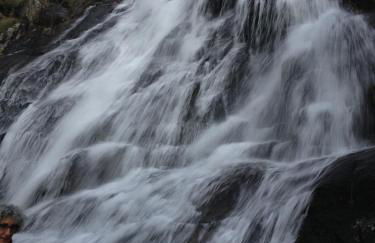 El Cerrillo - Foto 39