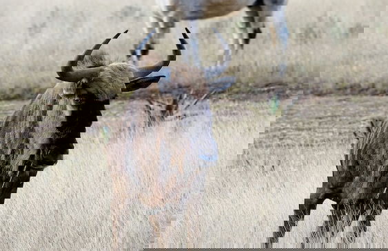 Kwetu Guest Farm - Photo 46