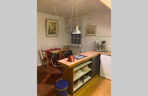 Vintage Apartment WOLF im Wadrilltal - Balkon Garten - Foto 40