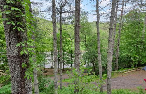 Riverfront Cabin in Crumpler-- Sleeps 6, 30 Mins to West Jefferson - Foto 25