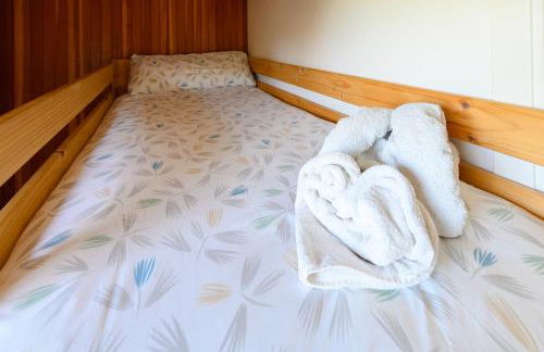 Comodo Apartamento Esquia y Relájate en La Pinilla - Foto 19