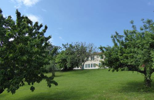 Casa Ballo delle Streghe, Garden, Montebelluna - Foto 2