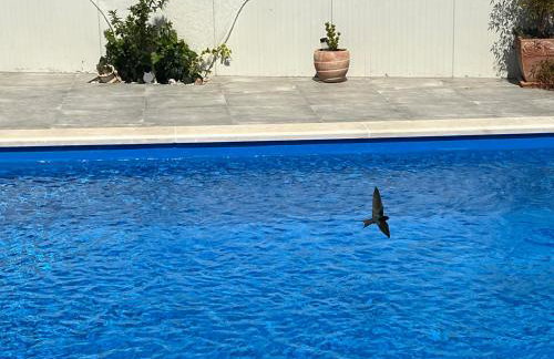 Holiday house Gabi Istria - Foto 12