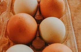 Healing Acres - Foto 49