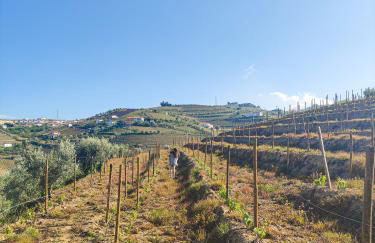 Quinta dos Padrinhos - Suites in the Heart of the Douro - Foto 52