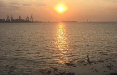 Tidal Walk - Foto 10