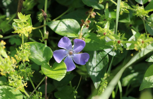 Casa Lisetta - Foto 23