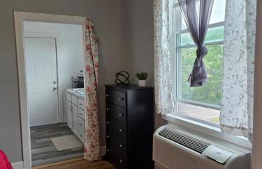 Beautifully Renovated Downtown 1Bed 1 Bath Apt, Pet Friendly - Foto 14