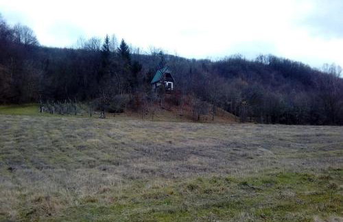 UNDER THE GREEN ROOF - Foto 72