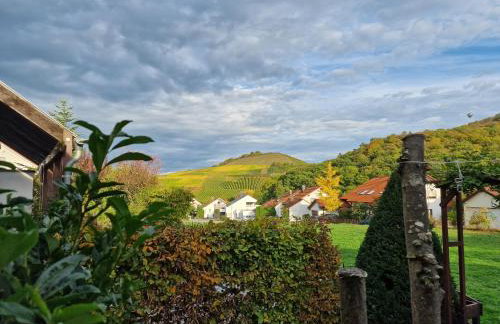 Villa Clee Ferienwohnungen - Foto 4